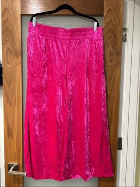 A new day Hot Pink Crushed Velvet Wide Leg Pants